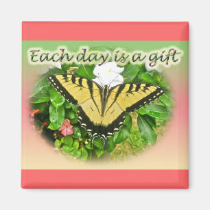 Elke dag is een tijger Swallowtail Butterfly een c Magneet