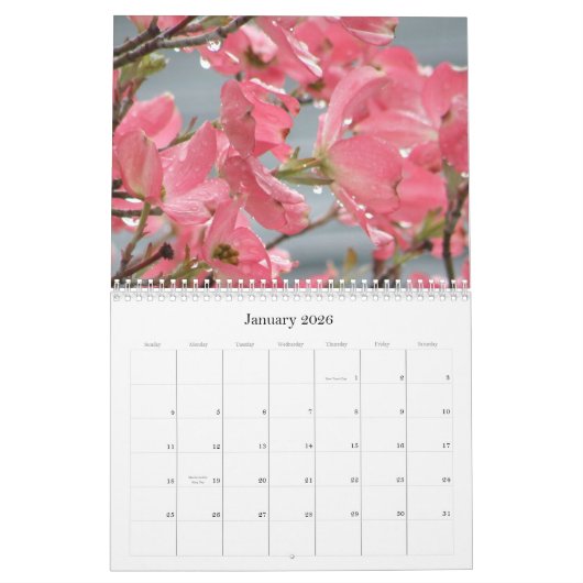 elke dag is er een nieuwe bloem kalender (Jan 2026)