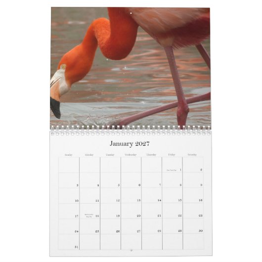 Elke dag is Flamingo Vrijdag - kalender (Jan 2027)