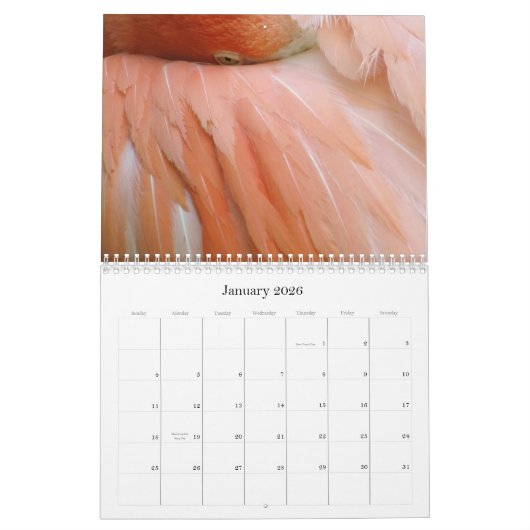 "Elke dag is Flamingo Vrijdag" kalender (Jan 2026)