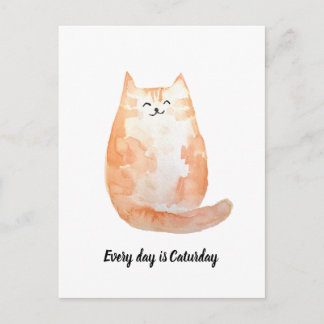 "Elke dag is het Caturday" ansichtkaart Briefkaart