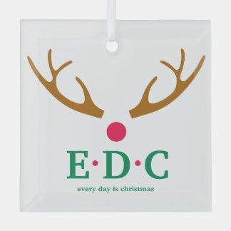Elke Dag is Kerst Glas Ornament