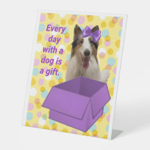 Elke dag met een hond is een geschenk