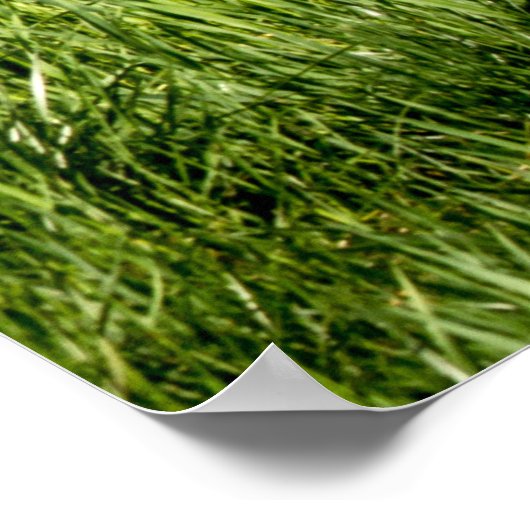 Elke dag op aarde poster (Hoek)