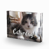 Elke dag rond hier is de Sjabloon van de katurdagk Fotoblokken (Rechts)