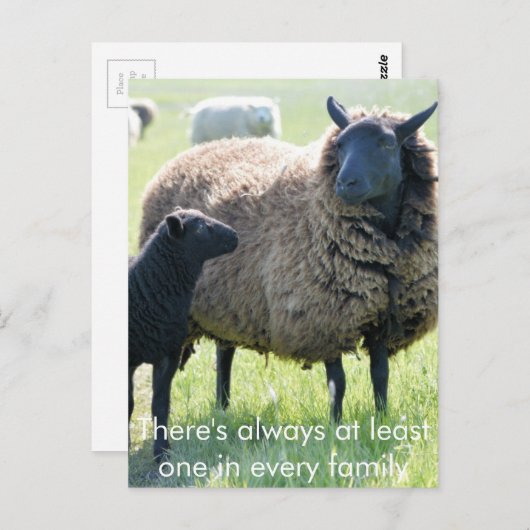 Elke familie heeft een zwart schaap briefkaart (Voorkant / Achterkant)