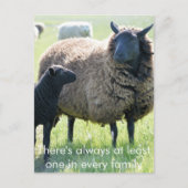 Elke familie heeft een zwart schaap briefkaart (Voorkant)