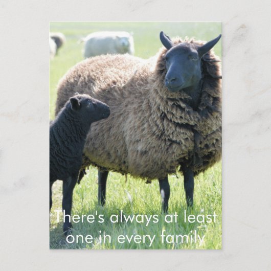 Elke familie heeft een zwart schaap briefkaart (Voorkant)