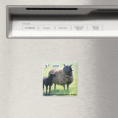 Elke familie heeft een zwarte schaapskooi magneet (Insitu (Vaatwasser))