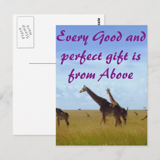 Elke goede en perfecte gave Afrikaanse Safari Gira Briefkaart (Voorkant / Achterkant)