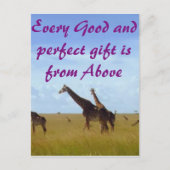 Elke goede en perfecte gave Afrikaanse Safari Gira Briefkaart (Voorkant)