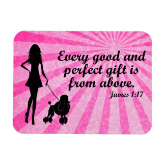 Elke Goede en Perfecte Gift James 1:17 Christelijk Magneet