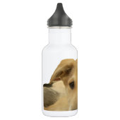 Elke hond heeft een iTS-dag Hakuna Matata Happy-da Waterfles (Links)