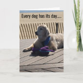 Elke hond heeft zijn dag, elke dag! - kaart (Voorkant)
