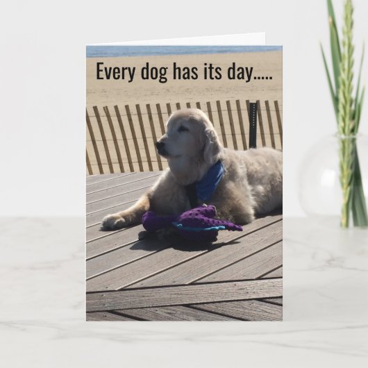 Elke hond heeft zijn dag, elke dag! - kaart (Voorkant)