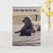 Elke hond heeft zijn dag, elke dag! - kaart (Gele Bloem)