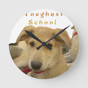 Elke hond heeft zijn dag Hakuna Matata Gelukkige d Ronde Klok