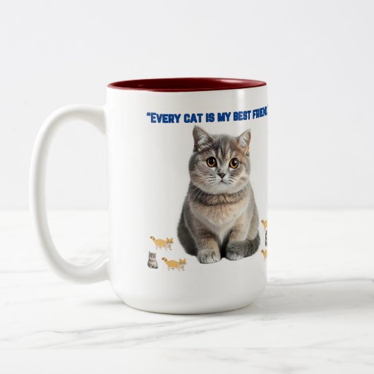 elke kat is mijn beste vriend tweekleurige koffiemok (Links)