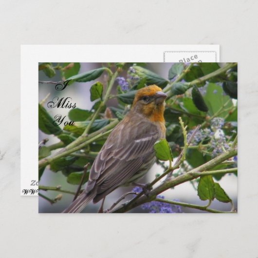 Elke keer_ briefkaart (Voorkant / Achterkant)