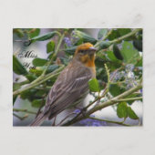 Elke keer_ briefkaart (Voorkant)