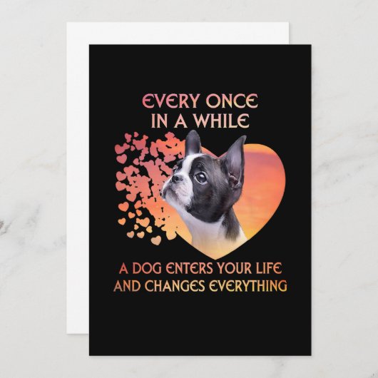 Elke keer dat een hond je leven in Boston betreedt Aankondiging (Voorkant / Achterkant)