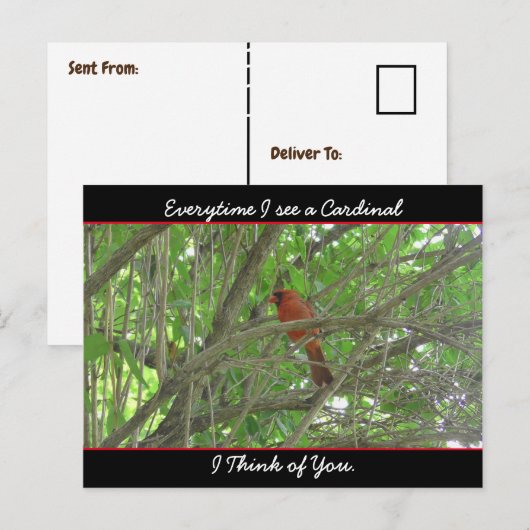 Elke keer dat ik een kardinaal zie denk ik aan jou briefkaart (Voorkant / Achterkant)