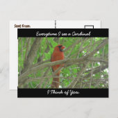 Elke keer dat ik een kardinaal zie denk ik aan jou briefkaart (Voorkant / Achterkant)