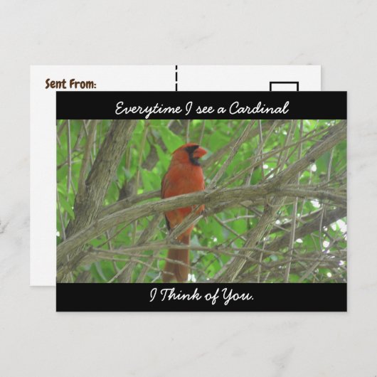 Elke keer dat ik een kardinaal zie denk ik aan jou briefkaart (Voorkant / Achterkant)