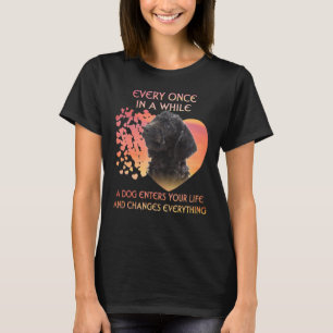 Elke keer in een tijd dat een labradoedle je laat  t-shirt