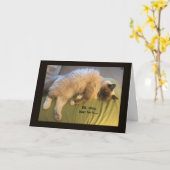 Elke minuut zal de cafeïne de kaart in (Gele Bloem)