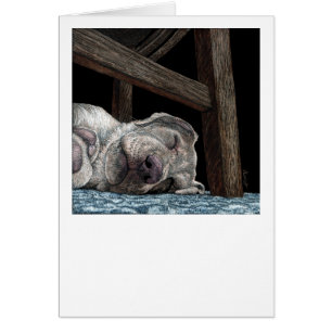 "Elke poort voor een NAP" gele labkaart