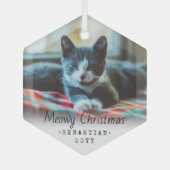 Elke sms-Meowy kerstkat Eenvoudige hexagon foto Glas Ornament (Voorkant)