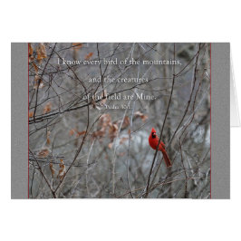 Elke vogel van de berg Parakaleo kaart