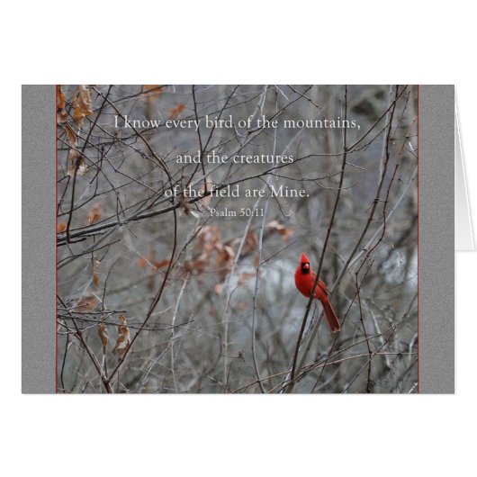 Elke vogel van de berg Parakaleo kaart (Voorkant Horizontaal)