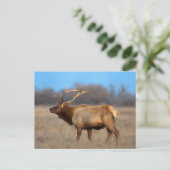 Elkprofiel in de herfst briefkaart (Staand voorkant)