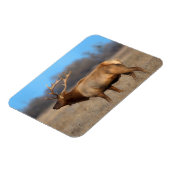 Elkprofiel in de herfst magneet (Linkerzijde)