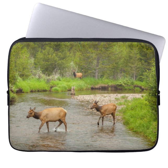 Elks door de Colorado Laptop Sleeve (Voorkant)