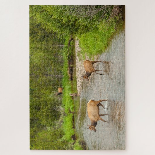 Elks door de Colorado Legpuzzel (Verticaal)