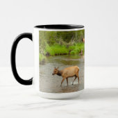 Elks door de Colorado Mok (Links)