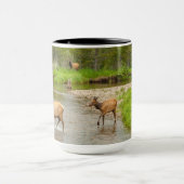 Elks door de Colorado Mok (Midden)