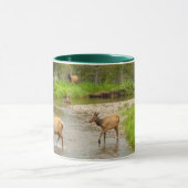 Elks door de Colorado Mok (Midden)