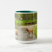 Elks door de Colorado Mok (Midden)