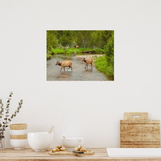 Elks door de Colorado Poster (Keuken)