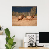 Elks Poster (Thuiskantoor)
