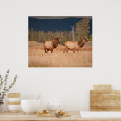 Elks Poster (Keuken)