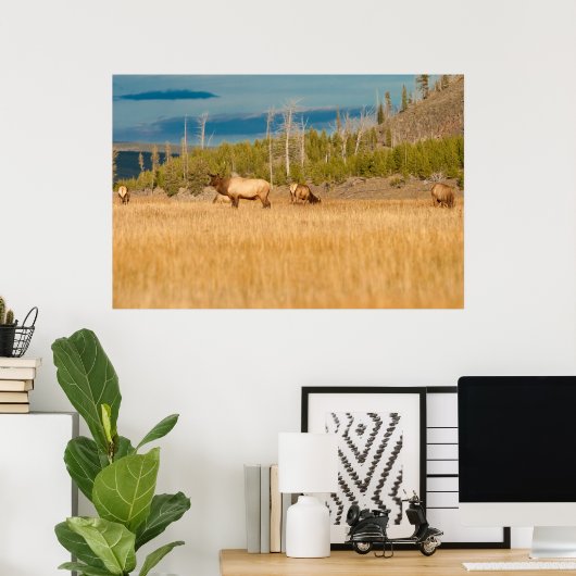 Elks Poster (Thuiskantoor)