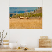 Elks Poster (Keuken)