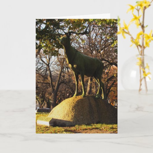 "Elks Rest" condoleancekaart Kaart (Gele Bloem)