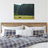 Elkweide in Redwood National Park Canvas Afdruk (Insitu (Slaapkamer))