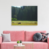 Elkweide in Redwood National Park Canvas Afdruk (Insitu (Woonkamer))